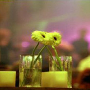 זוגיות – רגעי פריחה